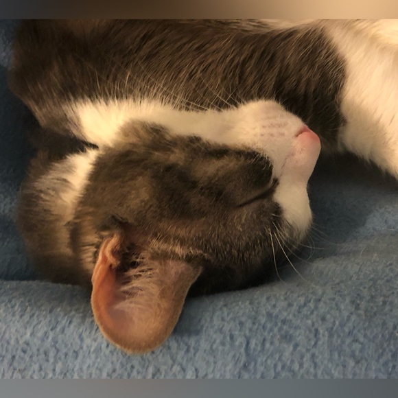 Meet Your Posher’s Posse- - Picture 5 of 12